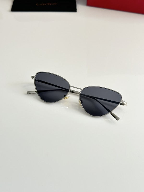 CARTIER SILVER BLACK sunglasses WITH ORIGINAL BOX AND KIT