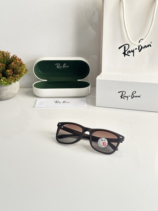 Rayban Brown black sunglasses with original box and kit