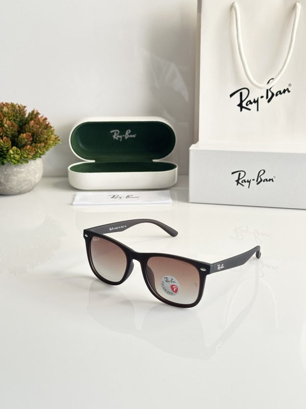 Rayban Brown black sunglasses with original box and kit