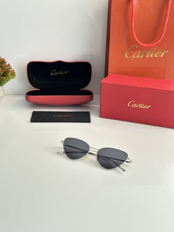 CARTIER SILVER BLACK sunglasses WITH ORIGINAL BOX AND KIT