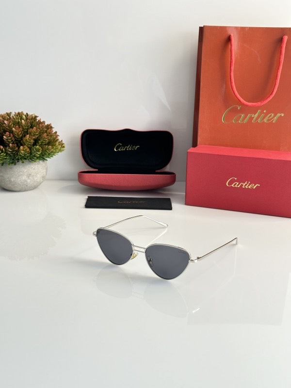 CARTIER SILVER BLACK sunglasses WITH ORIGINAL BOX AND KIT